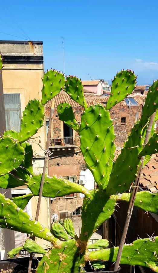 Bed & Breakfast Fera O' Luni Catania